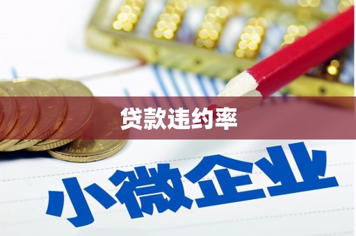 清河门贷款违约率