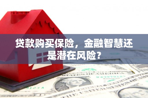 清河门贷款购买保险，金融智慧还是潜在风险？