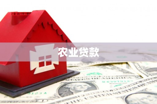 清河门农业贷款
