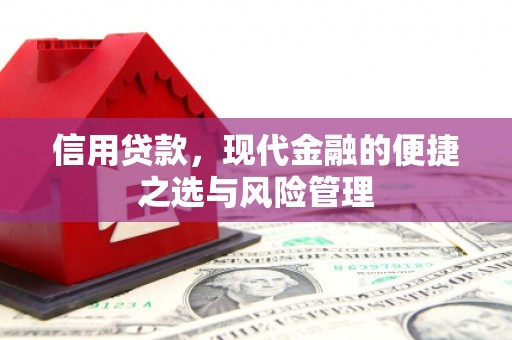 清河门信用贷款，现代金融的便捷之选与风险管理