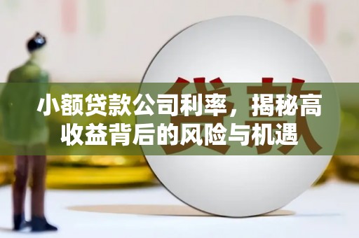 清河门小额贷款公司利率，揭秘高收益背后的风险与机遇