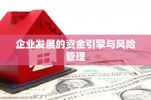 清河门企业发展的资金引擎与风险管理
