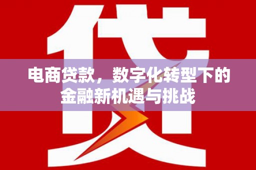 清河门电商贷款，数字化转型下的金融新机遇与挑战