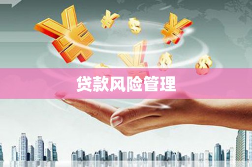 清河门贷款风险管理