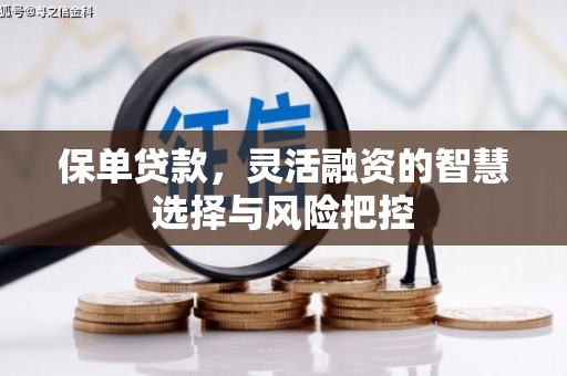 清河门保单贷款，灵活融资的智慧选择与风险把控