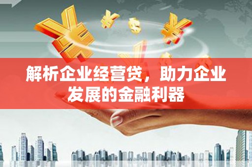 清河门解析企业经营贷，助力企业发展的金融利器