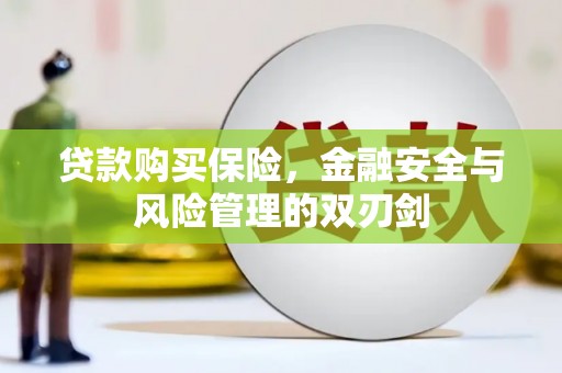 清河门贷款购买保险，金融安全与风险管理的双刃剑