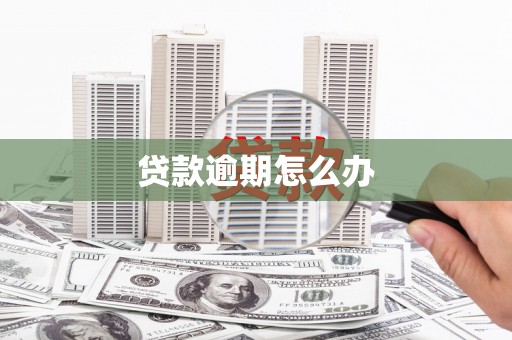 清河门贷款逾期怎么办