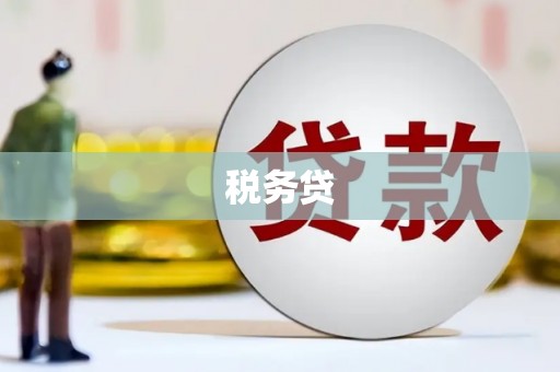 清河门税务贷