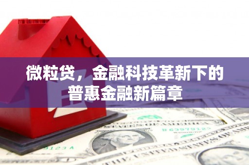 清河门微粒贷，金融科技革新下的普惠金融新篇章