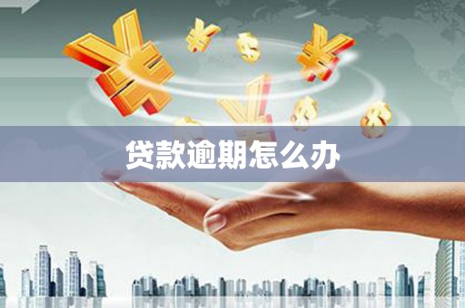清河门贷款逾期怎么办