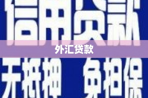 清河门外汇贷款
