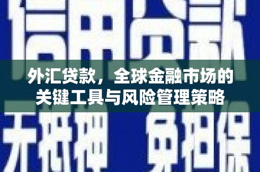 清河门外汇贷款，全球金融市场的关键工具与风险管理策略