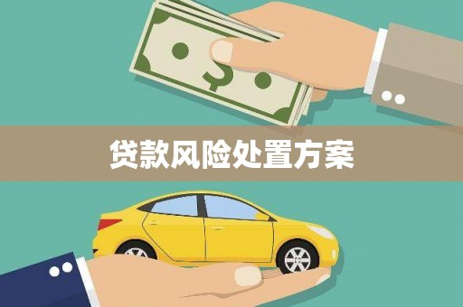 清河门贷款风险处置方案