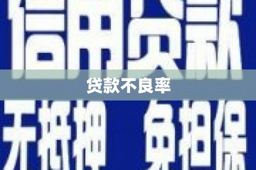 清河门贷款不良率