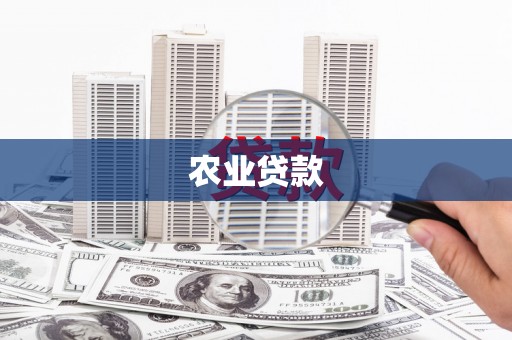 清河门农业贷款