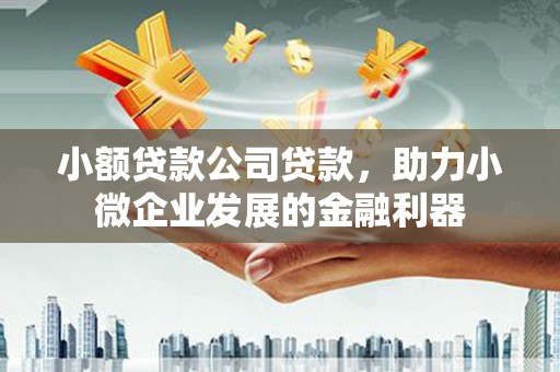 清河门小额贷款公司贷款，助力小微企业发展的金融利器