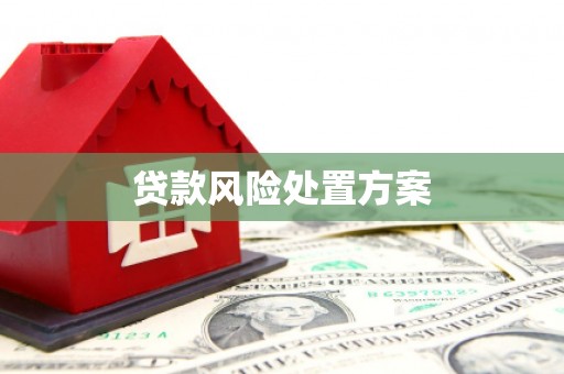 清河门贷款风险处置方案