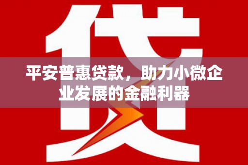 清河门平安普惠贷款，助力小微企业发展的金融利器