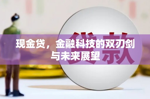 清河门现金贷，金融科技的双刃剑与未来展望
