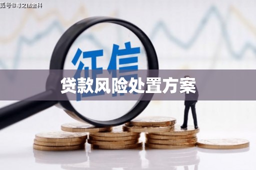 清河门贷款风险处置方案