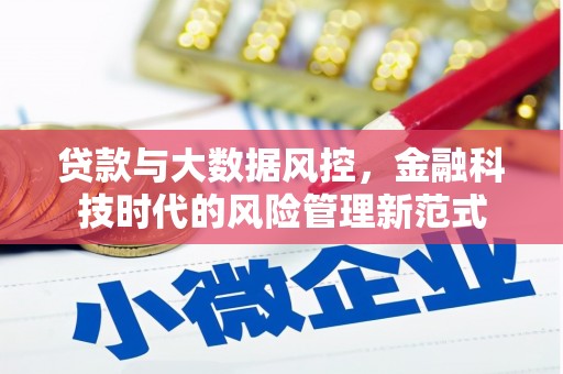 清河门贷款与大数据风控，金融科技时代的风险管理新范式