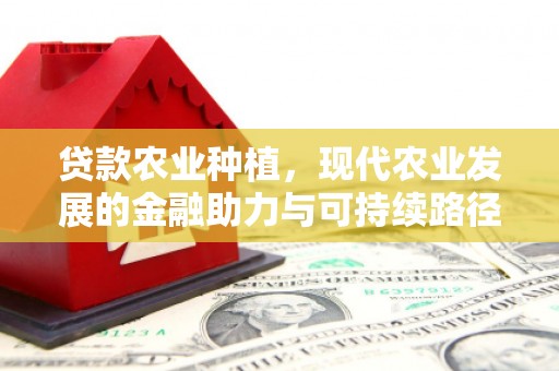 清河门贷款农业种植，现代农业发展的金融助力与可持续路径