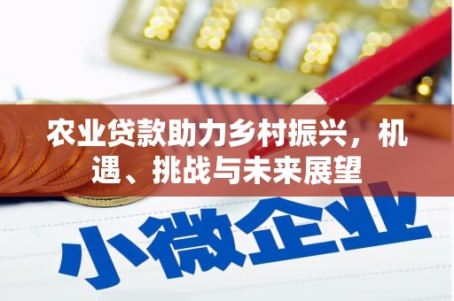 清河门农业贷款助力乡村振兴，机遇、挑战与未来展望