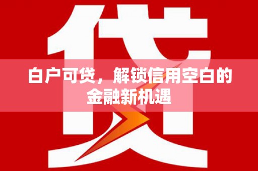 清河门白户可贷，解锁信用空白的金融新机遇