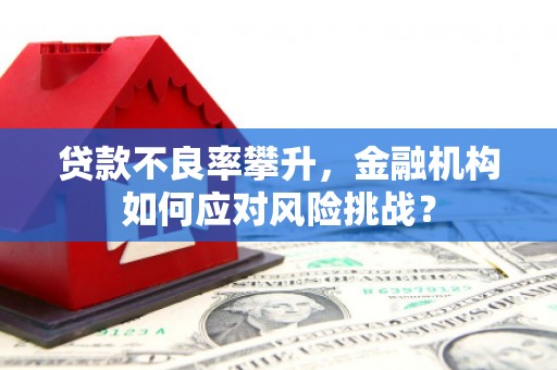清河门贷款不良率攀升，金融机构如何应对风险挑战？