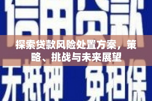 清河门探索贷款风险处置方案，策略、挑战与未来展望