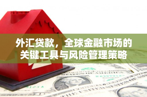 清河门外汇贷款，全球金融市场的关键工具与风险管理策略