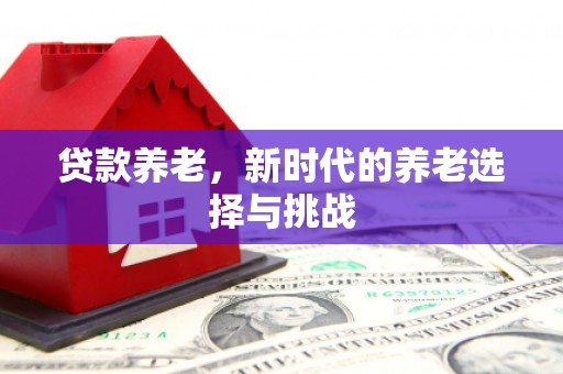 清河门贷款养老，新时代的养老选择与挑战