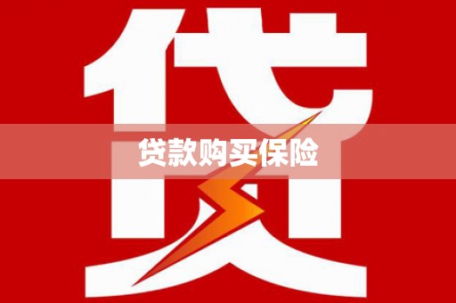 清河门贷款购买保险