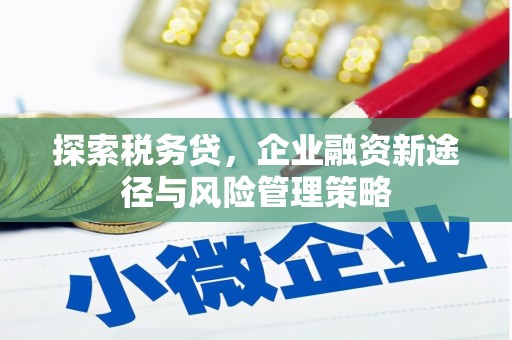 清河门探索税务贷，企业融资新途径与风险管理策略