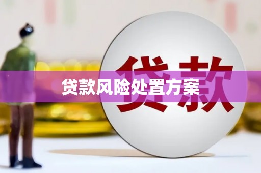 清河门贷款风险处置方案