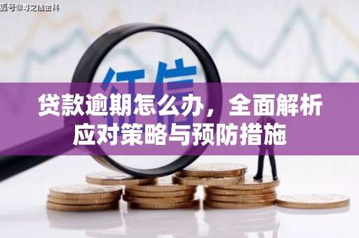 清河门贷款逾期怎么办，全面解析应对策略与预防措施