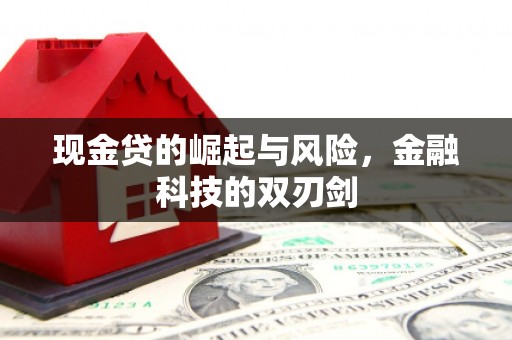 清河门现金贷的崛起与风险，金融科技的双刃剑