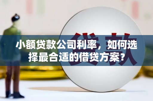 清河门小额贷款公司利率，如何选择最合适的借贷方案？