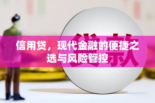 清河门信用贷，现代金融的便捷之选与风险管控