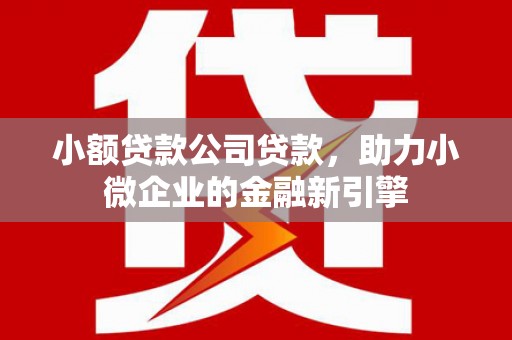 清河门小额贷款公司贷款，助力小微企业的金融新引擎
