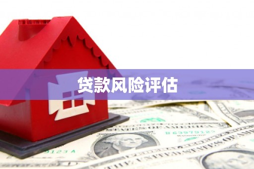 清河门贷款风险评估