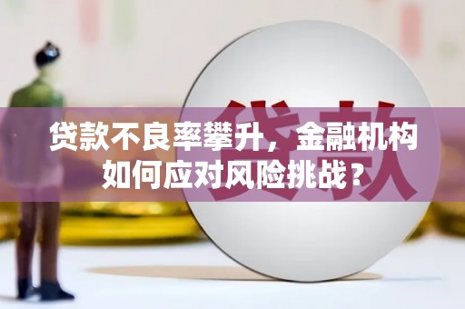 清河门贷款不良率攀升，金融机构如何应对风险挑战？