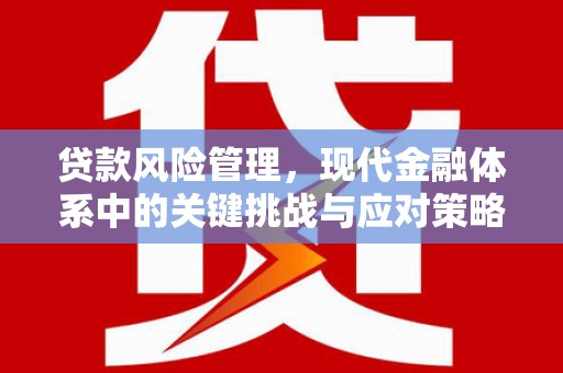 清河门贷款风险管理，现代金融体系中的关键挑战与应对策略