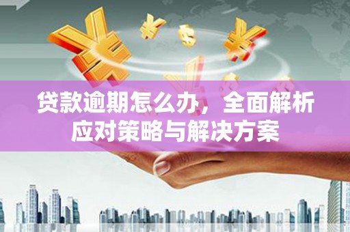 清河门贷款逾期怎么办，全面解析应对策略与解决方案