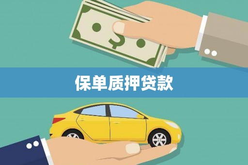 清河门保单质押贷款