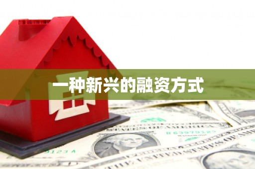 清河门一种新兴的融资方式